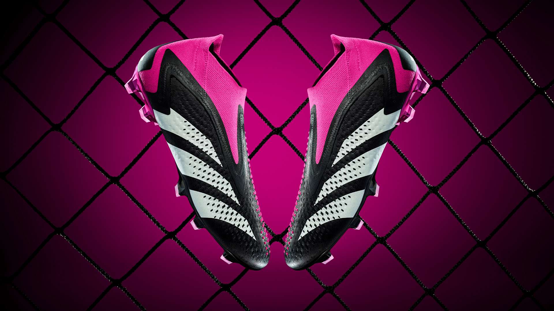 无论是球员 无论是球员